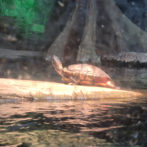 Photo of Alexandra Hoehl