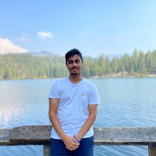 Photo of Aran Vallabh