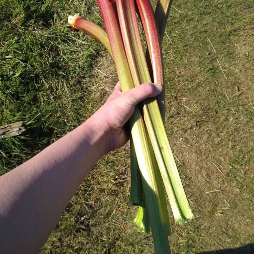 Photo of Aidan Madge