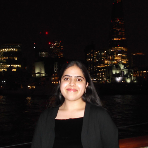 Photo of Arzeen Khan