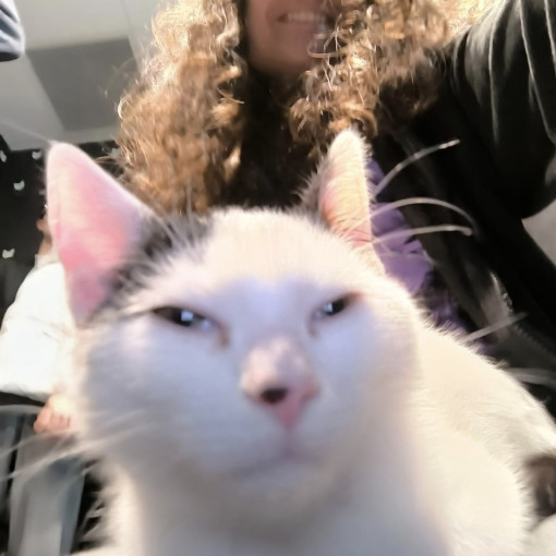 Photo of Abbas Schwarz