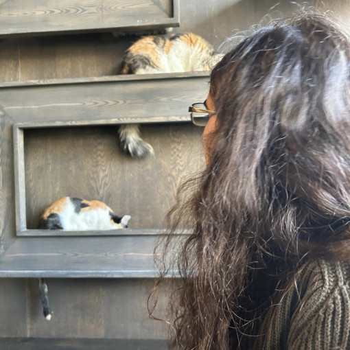 Photo of Abbas Schwarz