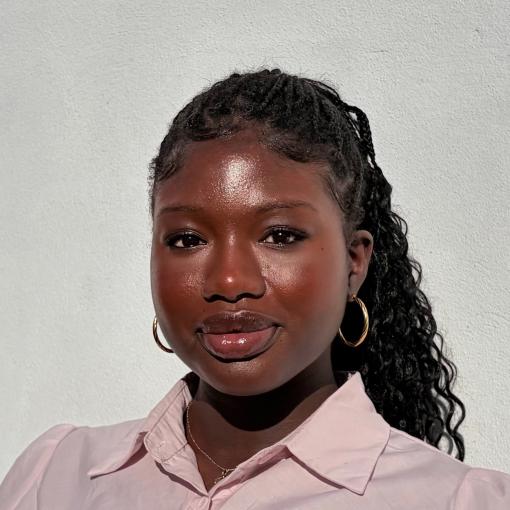 Photo of Feyi Akinmoju