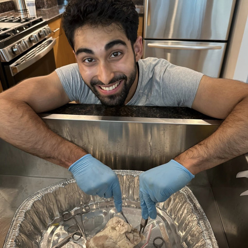 Photo of Hasan Zaidi