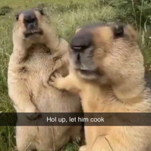 Photo of Muhammad Abdul-Muizz