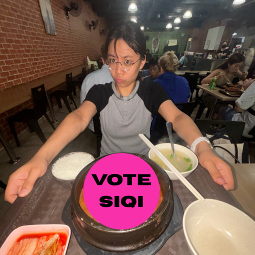 Photo of Siqi Wang